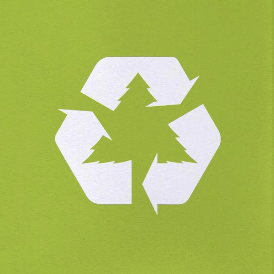 Inspirações para um Natal reciclado